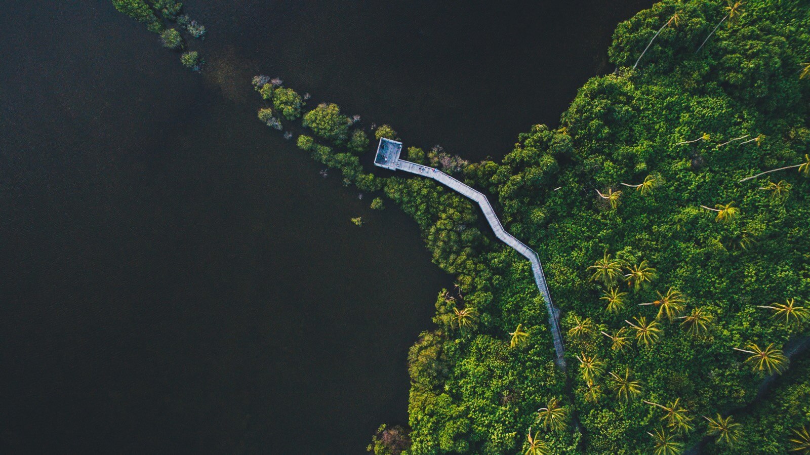 Explore the world
